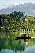 Lake Bled with Bled castle and a flat bottomed boat called a Pletna Bled Slovania