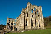 Rievaulx Abbey main aisle arches and windows North Yorkshire, England