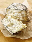 Farm goats cheese from Normandy French traditional regonal Cheeses