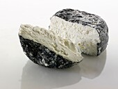 Farm goats cheese from Normandy French traditional regonal Cheeses
