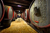 Kovacs wine cellars,  wine barrels and bottles Kovács Borház Hajos Hajós, Hungary