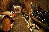 Kovacs wine cellars,  wine barrels and bottles Kovács Borház Hajos Hajós, Hungary