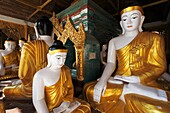 Myanmar, Burma, Yangon, Rangoon, Shwedagon Pagoda, Buddha statues