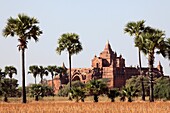 Myanmar, Burma, Bagan, Pyathada Pagoda