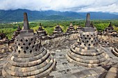 Indonesia, Java, Borobudur Temple, terraces, latticed stupas