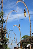 Indonesia, Bali, Ubud, penjor, traditional holiday decoration