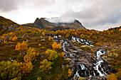 Wasserlauf, Landschaft auf den Lofoten bei A, Herbst, Süd Lofoten, Moskenesoy, Norwegen, Skandinavien, Europa