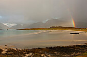 Rainbow above the coastal landscape, beach in Autumn, Fredvang, Flagstadoy, Lofoten, Nordland, Norway, Scandinavia, Europe