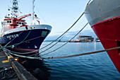 View of the Port From a Boat, Reykjavik, Capital of Iceland, Europe