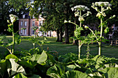 The Contemporary Garden and Facade of the Chateau De Miserey, Eure (27), France