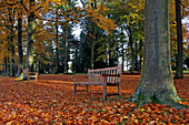 Benches and Autumn Leaves, the Chateau and Arboretum of Harcourt, Eure (27), France