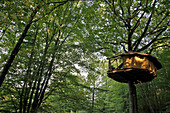 The Treehouses at the Domaine Du Bois Landry, Champrond-En-Gatine, Perche, Eure-Et-Loir (28), France