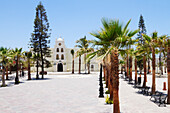 Old World Building in Tropical Setting, Todos Santos, Baja California, Mexico