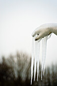 Icicles clinging to hand of statue