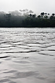 South America, Amazon, ripples on river along rainforest