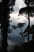 South America, Brazil, Amazon rainforest in Amapa State