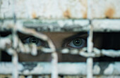 Eyes looking through wire fence, close-up