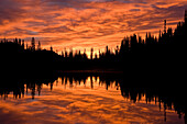 Orange Sunset Reflection in Lake with Pine Trees Silhouette, Washington, USA
