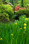 Small Bridge Near Pond and Blooming Summer Flowers, Seattle, Washington, USA