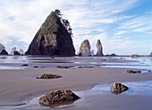 Rock formations on Beach at Low Tide, Washington, USA