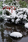 Pond and Snow-Covered Red Footbridge, Winter, Seattle, Washington, USA