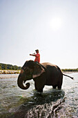 Man Fishing From Atop an Elephant in River II
