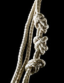 Rope with Knots on Black