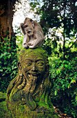 Macaque on top of Statue, Bali, Indonesia
