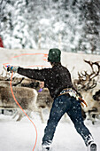 Person Lassoing Reindeer in Winter