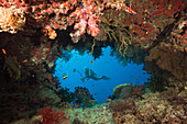 Scuba Diver behind Swimthrough, Namena Marine Reserve, Fiji