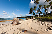 Strand Playa Rincon bei Las Galeras, Halbinsel Samana, Dominikanische Republik