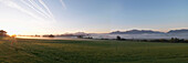 Bay of Schafwaschen in sunrise, lake Chiemsee, Chiemgau, Bavaria, Germany