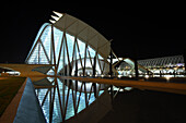 Museo de las Ciencias Príncípe Felipe, Architekt Santiago Calatrava, Valencia, Spanien