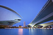 Palau de les Arts Reina Sofía, Architekt Santiago Calatrava, Av Autopista del Saler, Pont de Pont de Montolivet, Valencia, Spanien