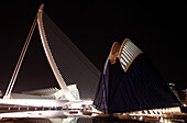 Agora, Architect Santiago Calatrava, Valencia, Spain