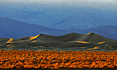 Sand dunes, Stovepipe Wells, Death Valley National Park, the hottest and driest of the national parks in the USA, California, USA