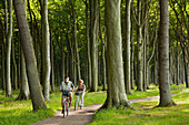 Two cyclists cycling through the ghost forest near Nienhagen, Baltic Sea, Mecklenburg Western-Pomerania, Germany