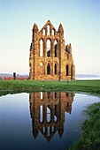 England, North Yorkshire, Whitby, Whitby Abbey