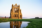 England,North Yorkshire,Whitby,Whitby Abbey
