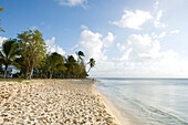 West Indies, Guadeloupe, Port Louis, Souffleur beach
