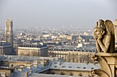 France, Paris, Notre Dame de Paris cathedral gargoyle and Right Bank of the Seine river