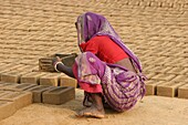 Inde, Worker in a West Bengal brick factory