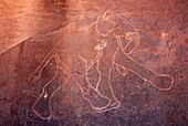 LIBYE, Rock paintings in Akakous