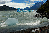 Chile, Patagonia, Torres del Paine national park, lake Grey