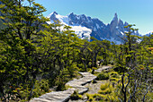 Argentina, Patagonia, Los Glaciares National Park, El Chalten, Laguna de los Tres path near Fitz Roy mountain