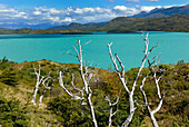 Chile, Patagonia, Torres del Paine National Park, lake Pehoe