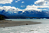 Argentina, Patagonia, Los Glaciares National Park, cow by a river