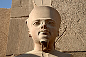 Egypt, Luxor, Karnak temple, Ramesses II statue