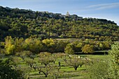 France, Provence, Vaucluse, Venasque