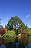 England,Sussex,Autumn Leaves in Sheffield Park Garden